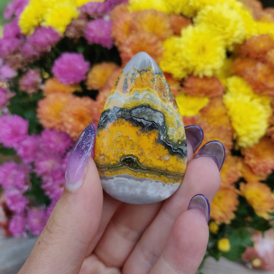 Bumblebee Jasper Cabochon (#A5)