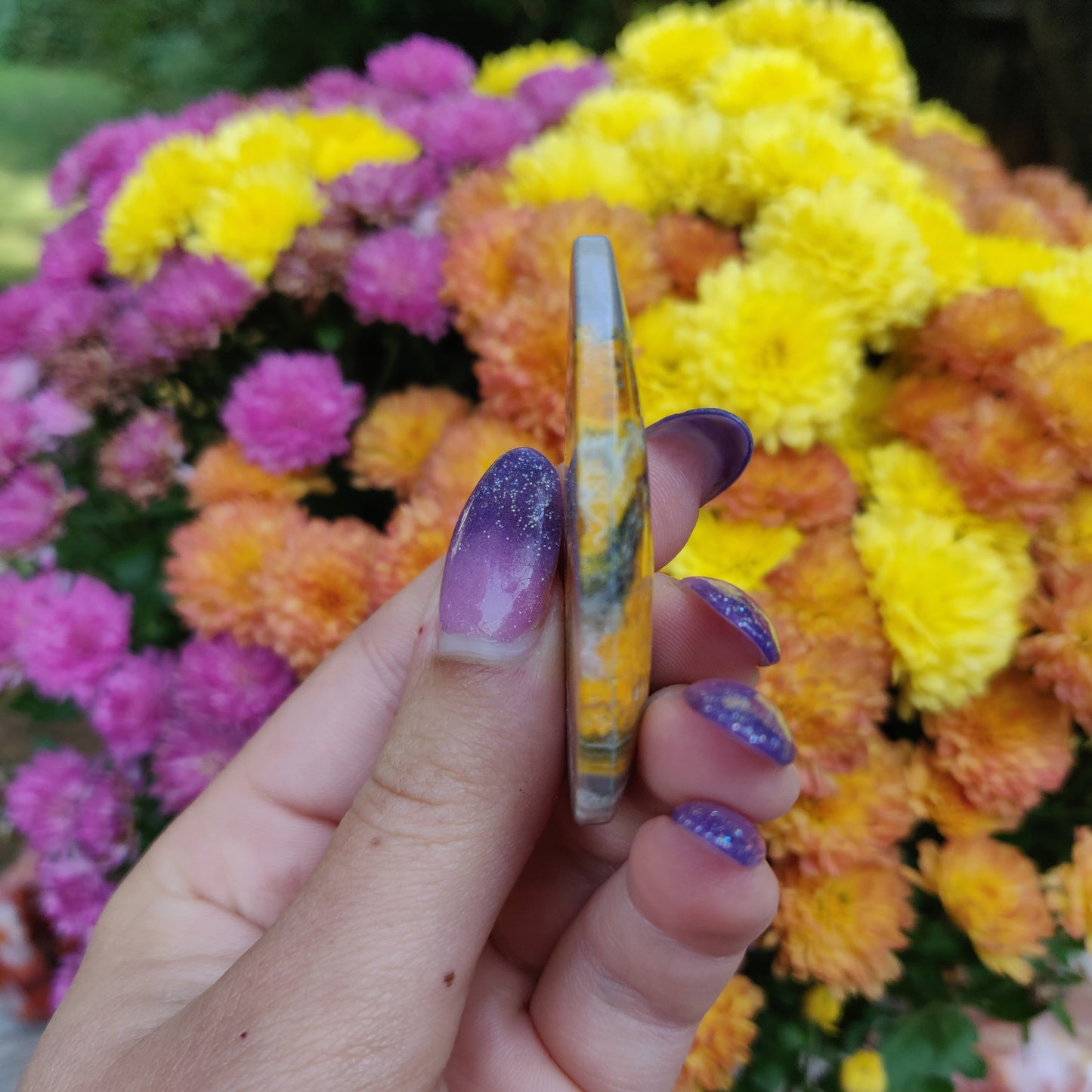 Bumblebee Jasper Cabochon (#A5)