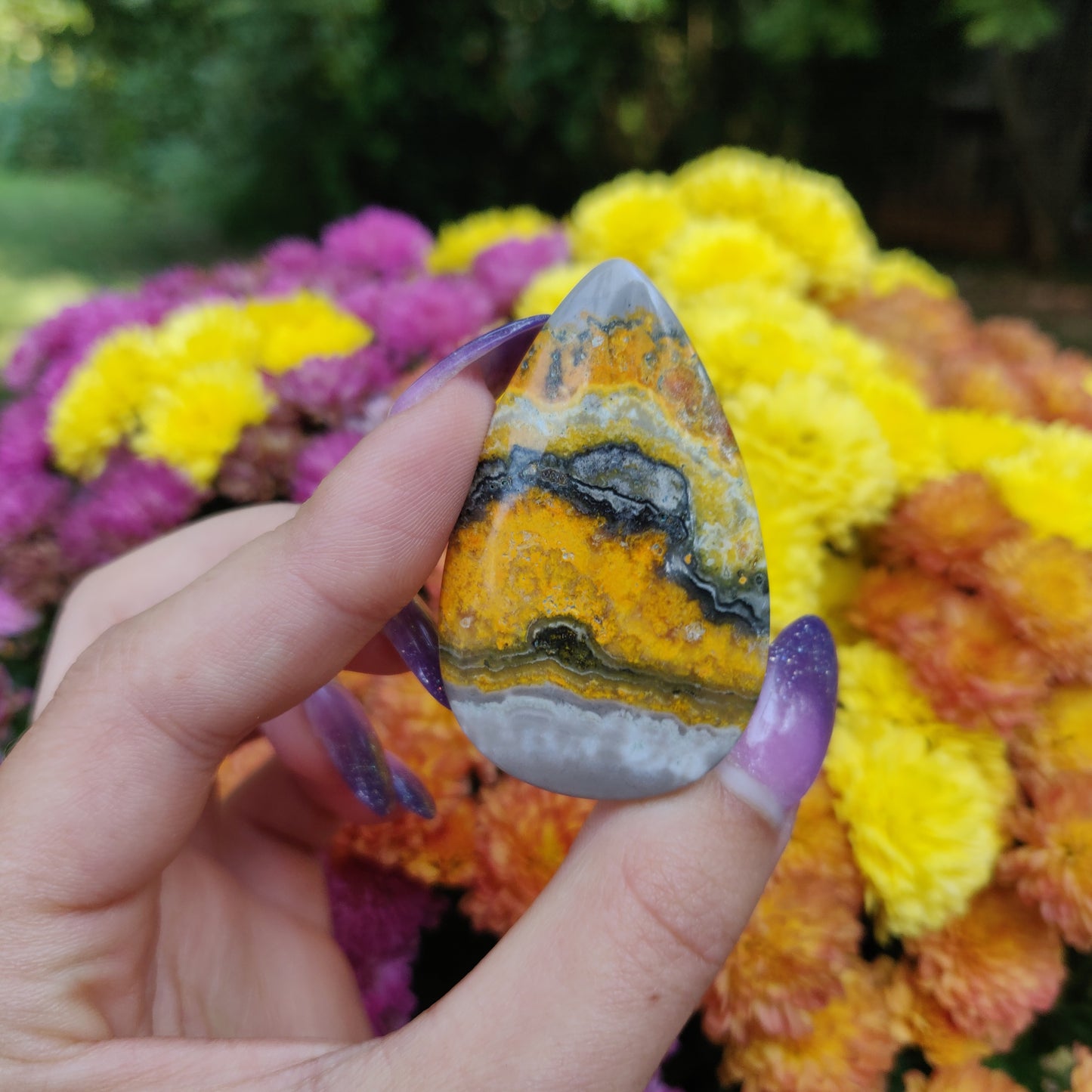 Bumblebee Jasper Cabochon (#A5)