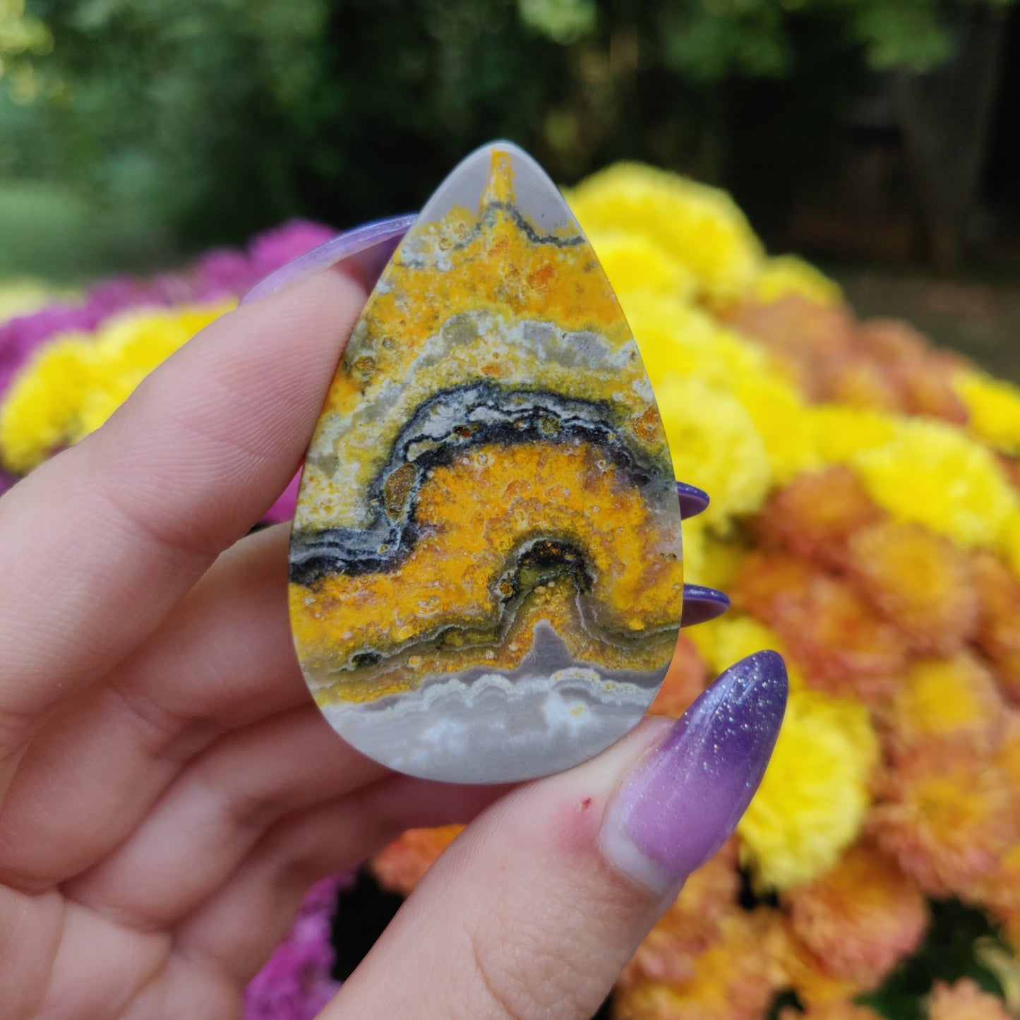 Bumblebee Jasper Cabochon (#A5)