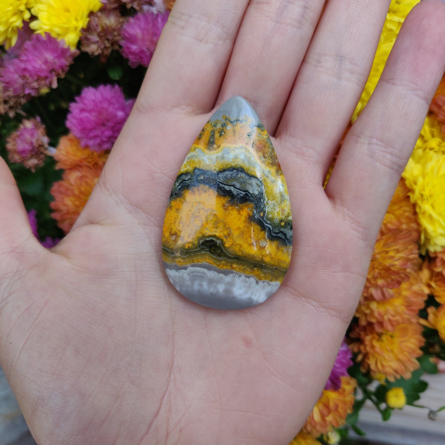 Bumblebee Jasper Cabochon (#A5)