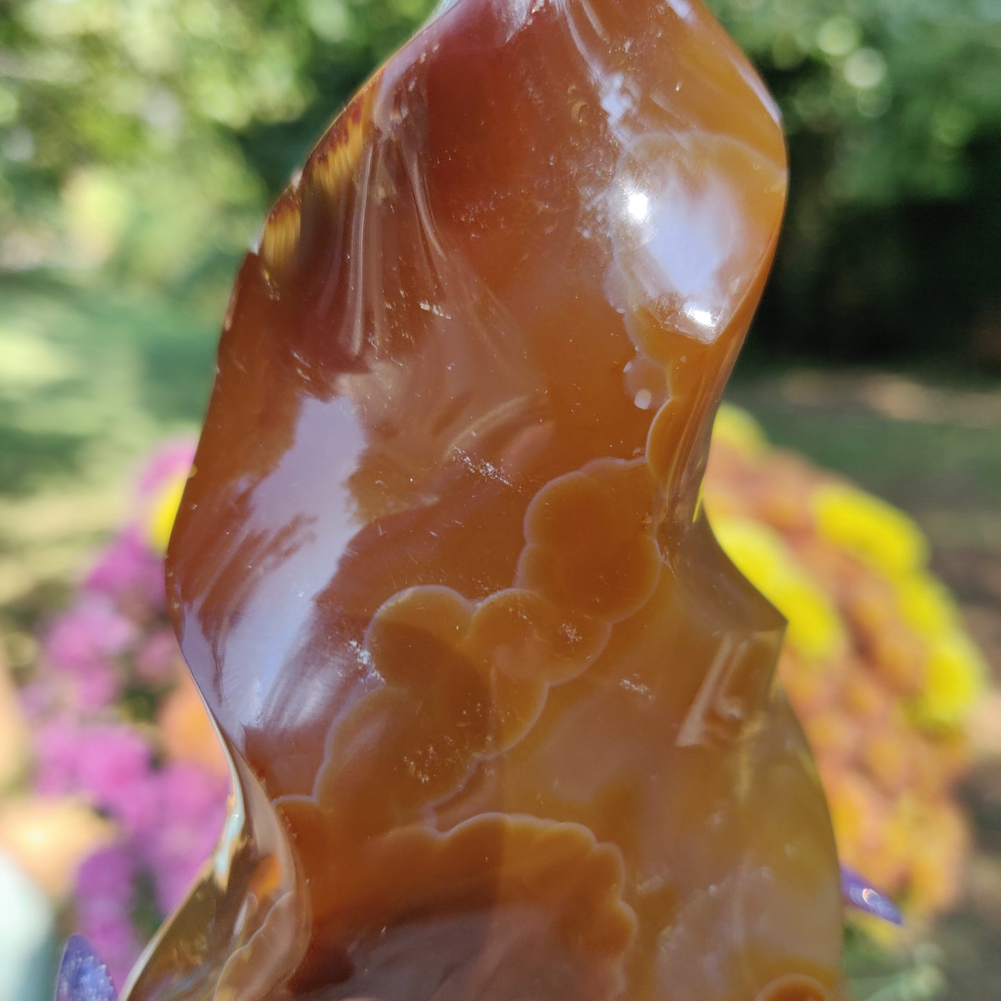 Carnelian Flame (#1)