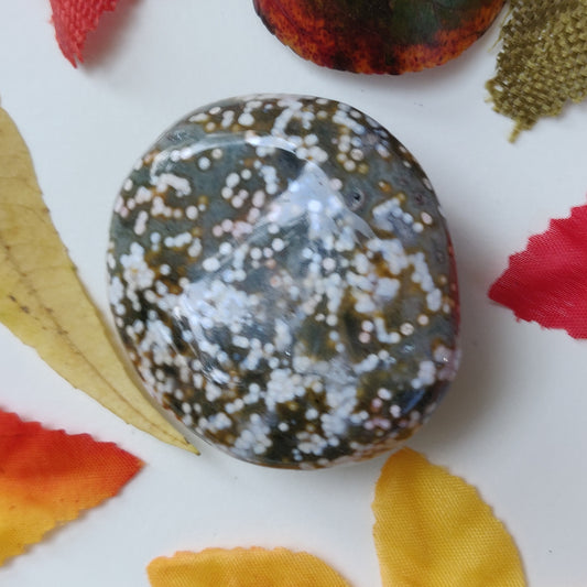 Ocean Jasper Palm Stone (#19)