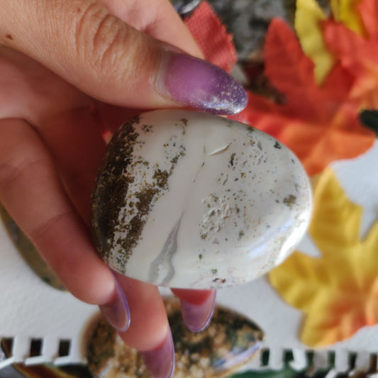 Ocean Jasper Palm Stone (#28)