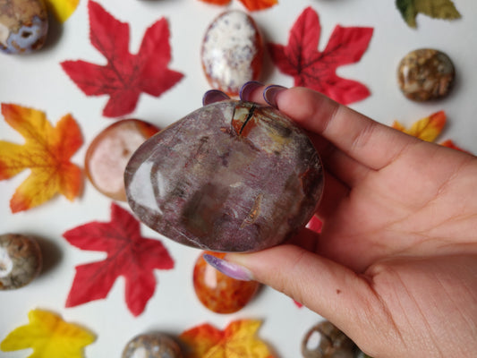 Petrified Wood Palm Stone (#A5)