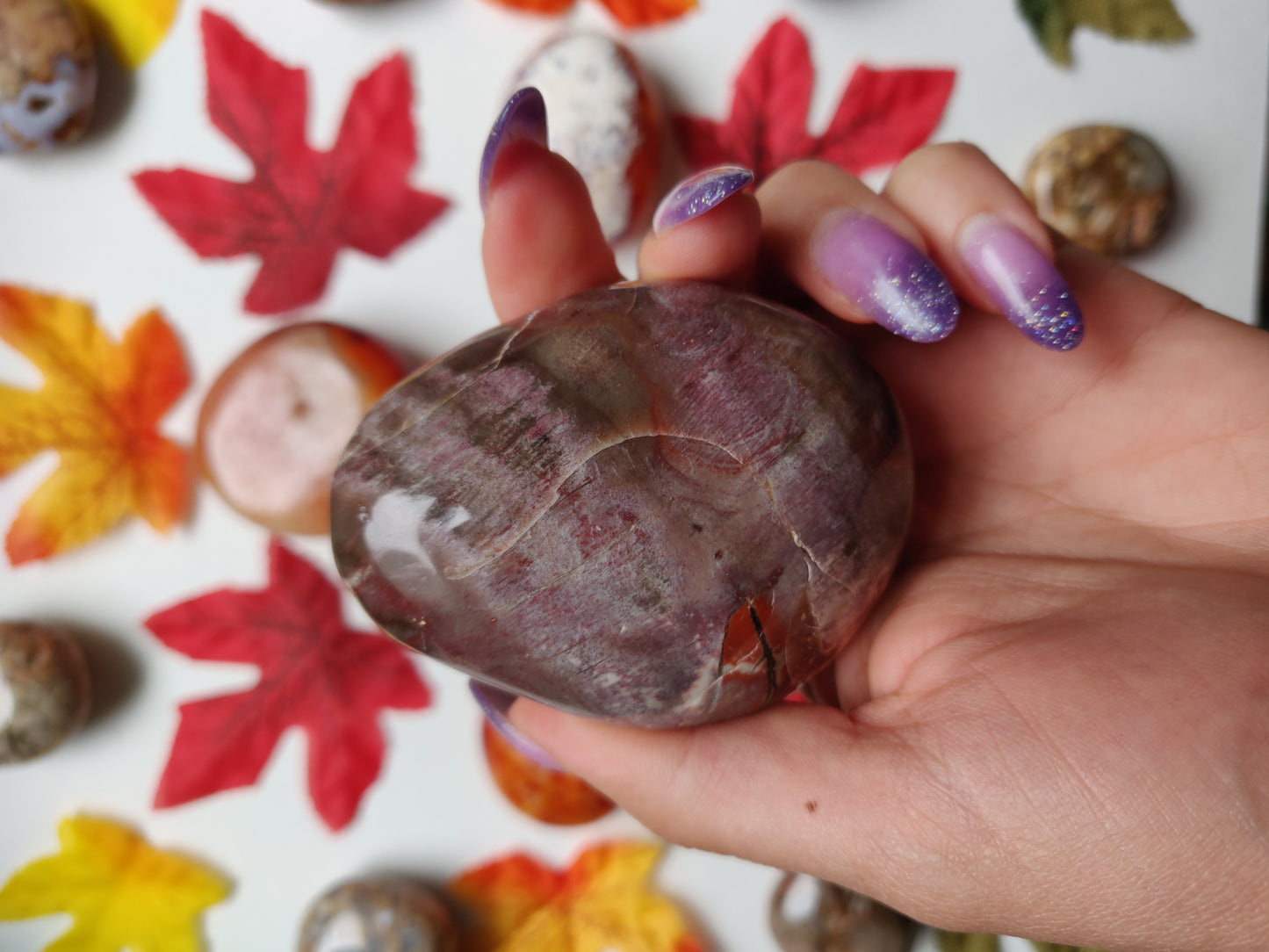 Petrified Wood Palm Stone (#A5)