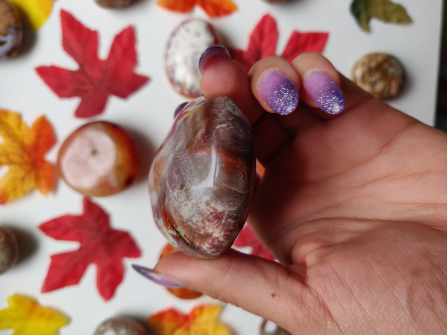 Petrified Wood Palm Stone (#A5)