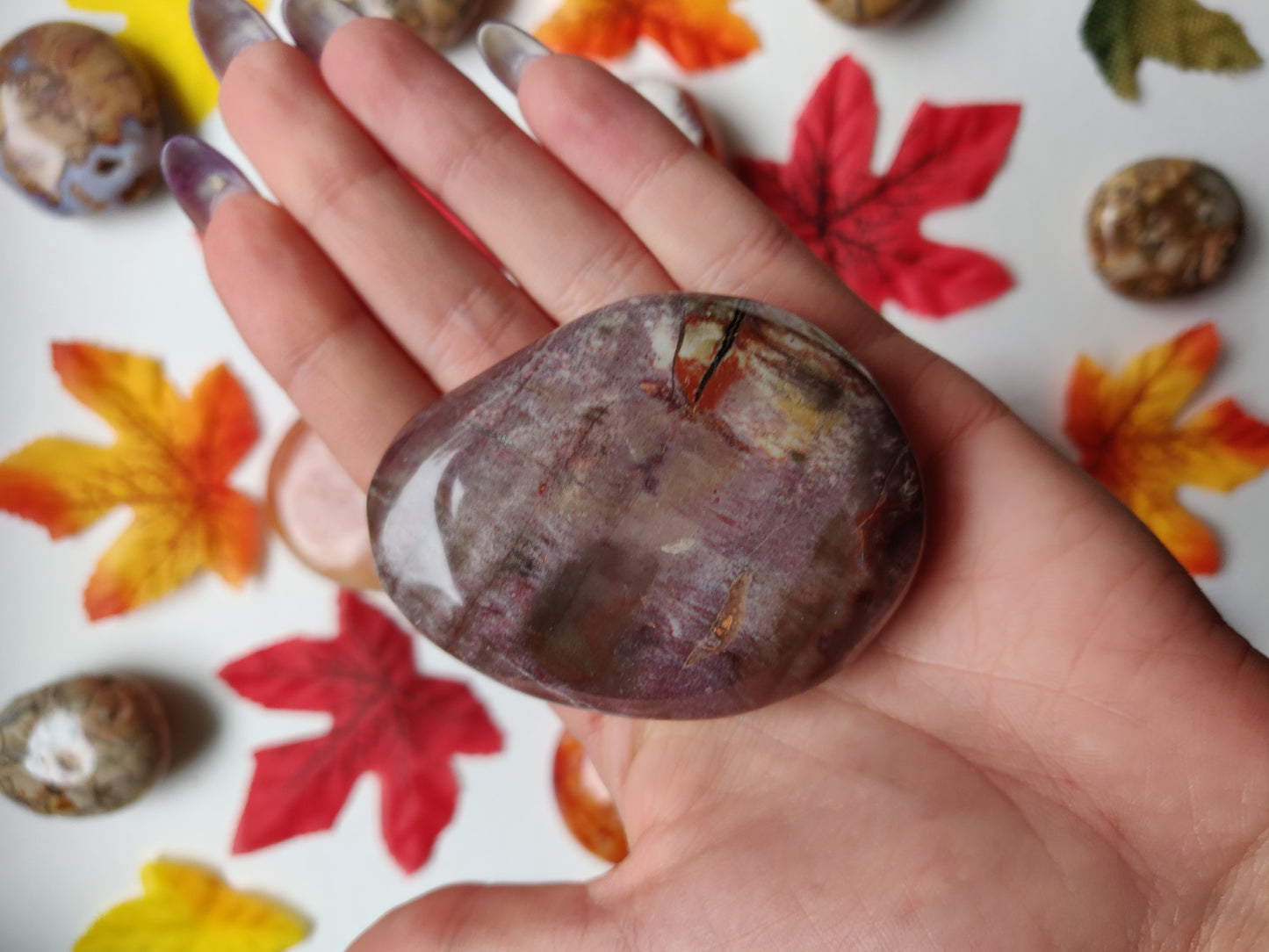 Petrified Wood Palm Stone (#A5)