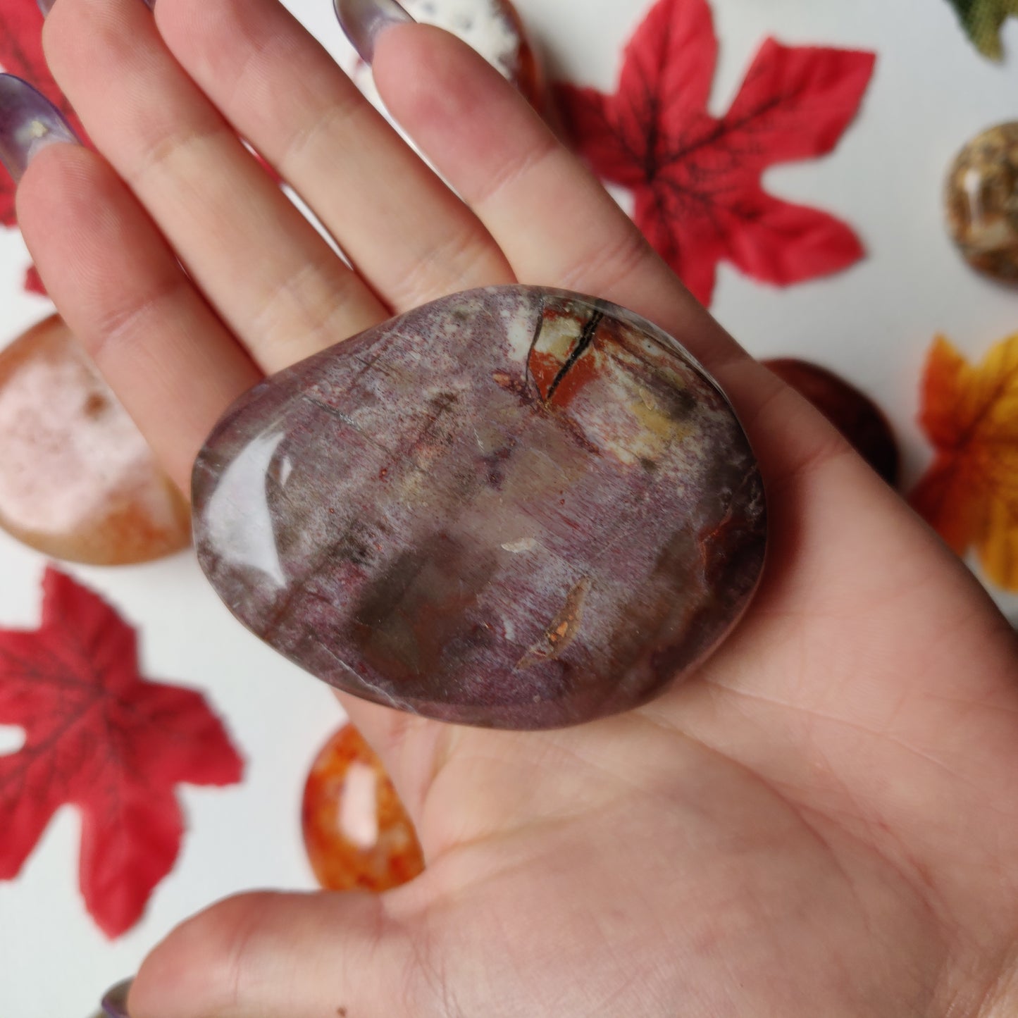Petrified Wood Palm Stone (#A5)