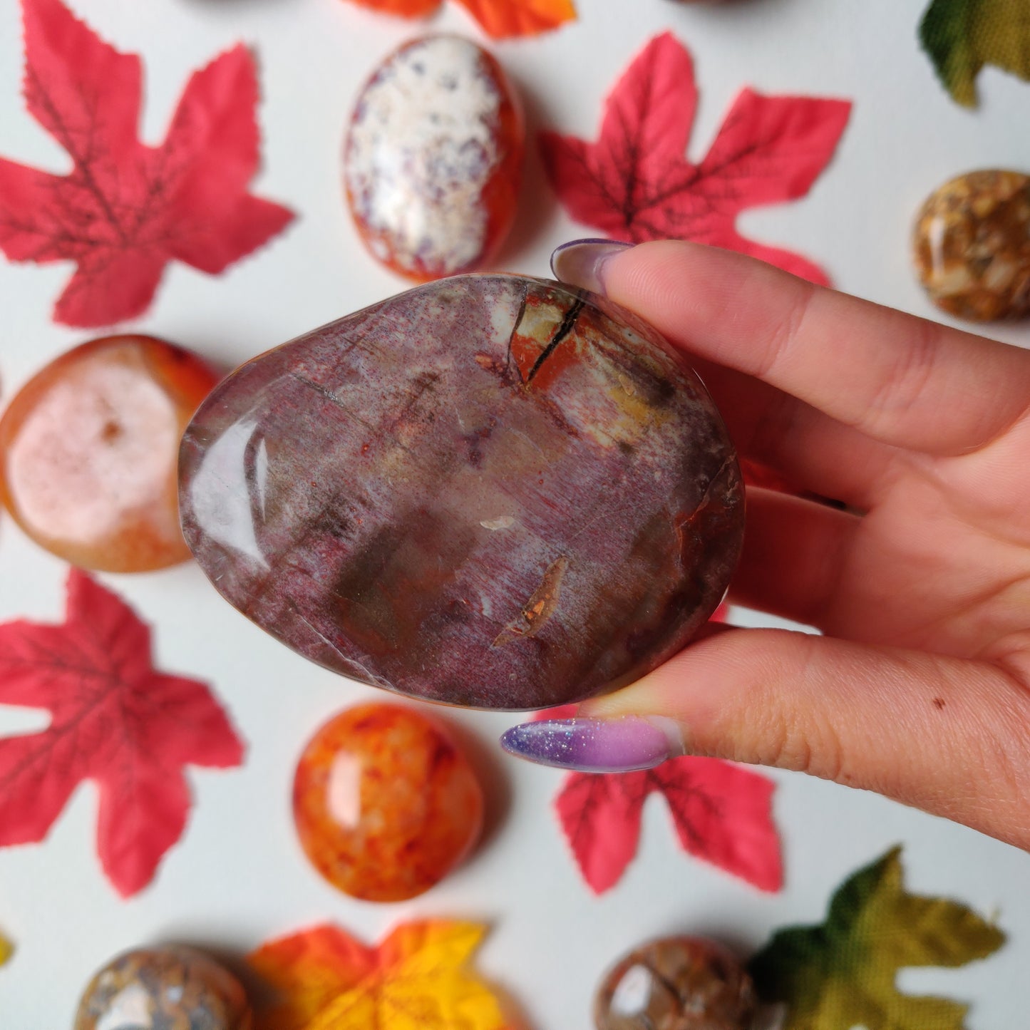Petrified Wood Palm Stone (#A5)