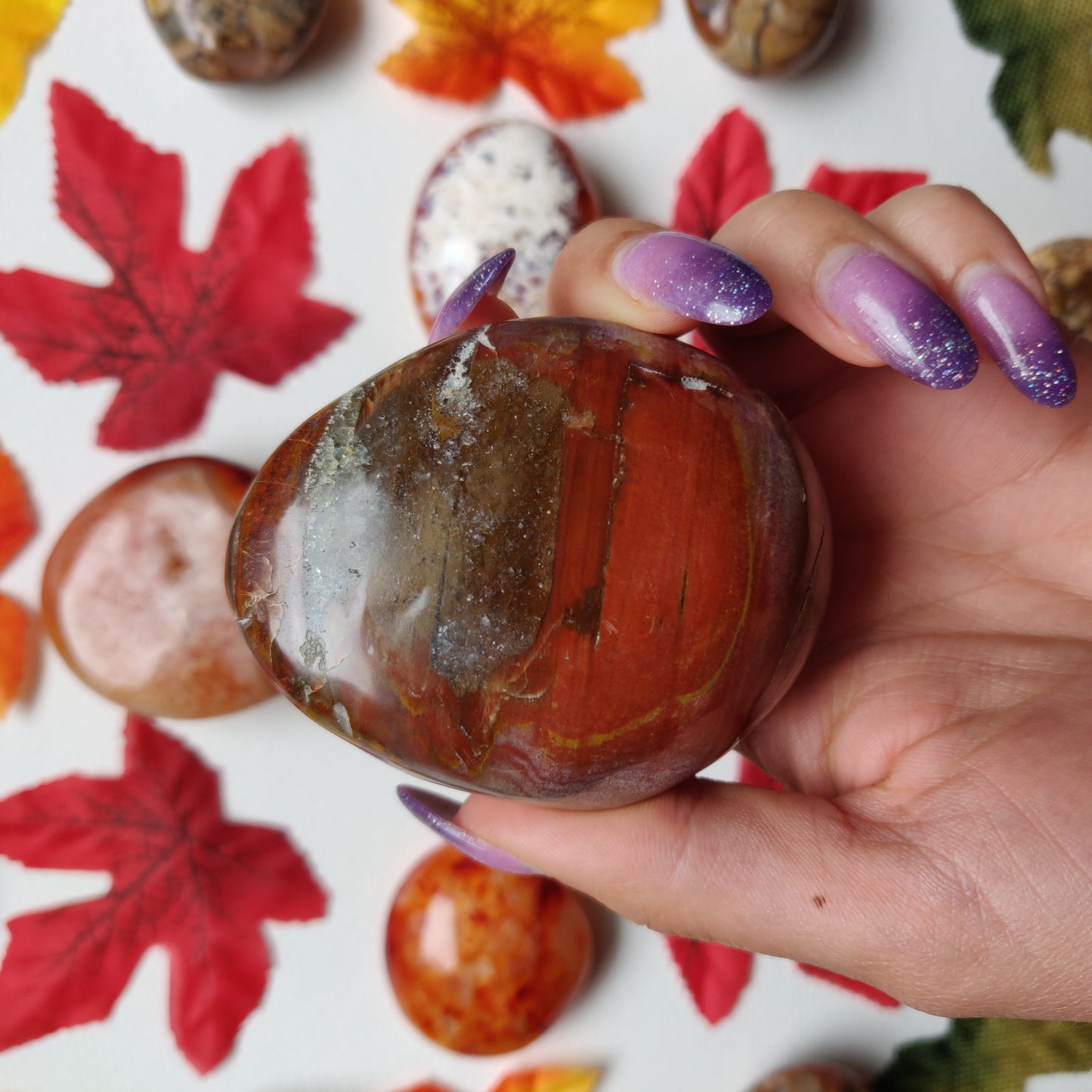 Petrified Wood Palm Stone (#A4)