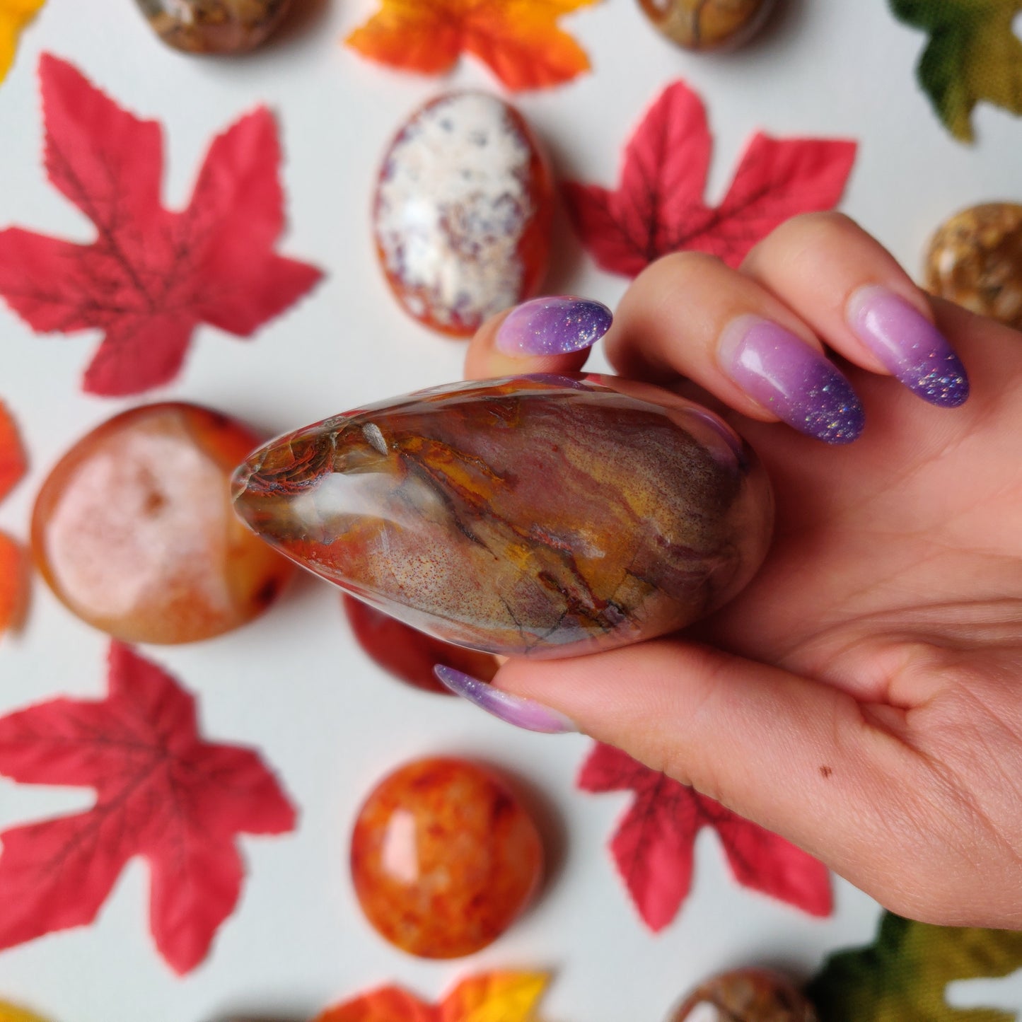 Petrified Wood Palm Stone (#A4)