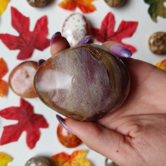 Petrified Wood Palm Stone (#A4)