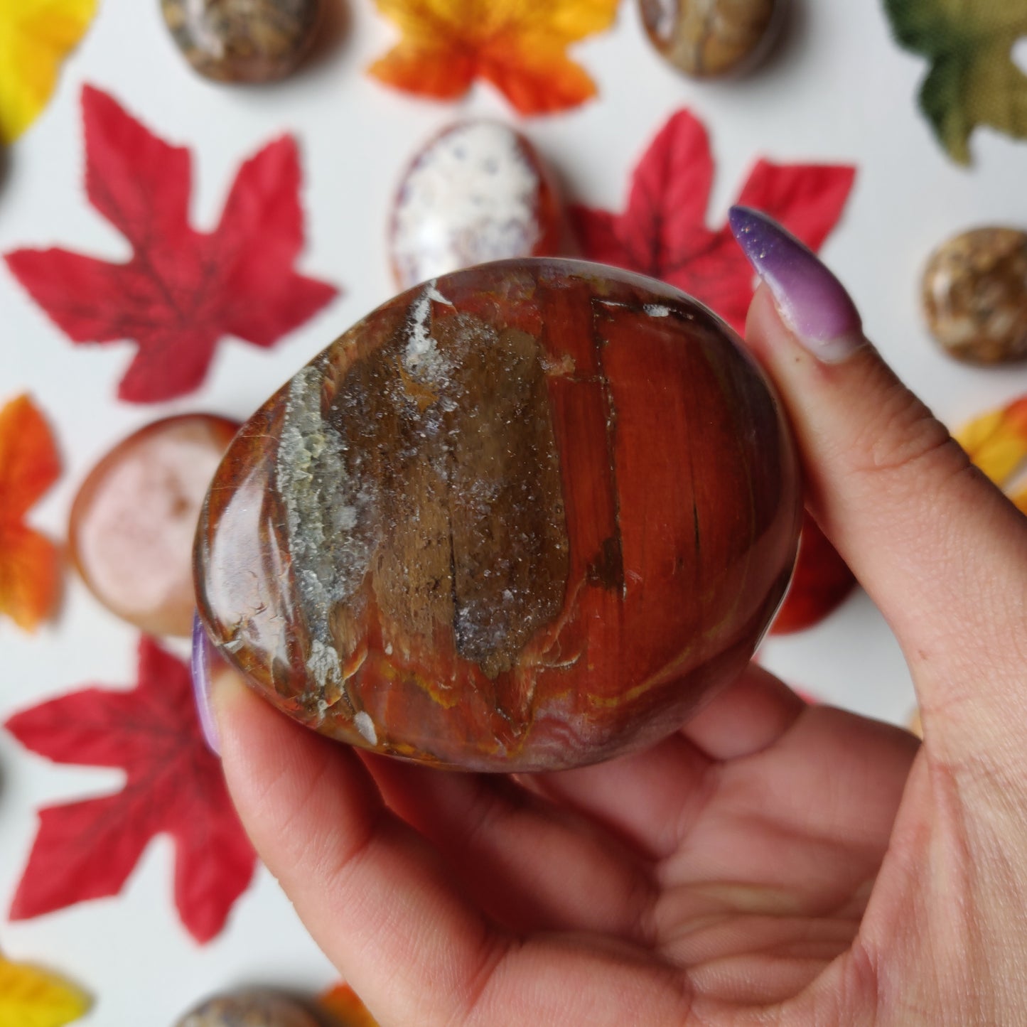 Petrified Wood Palm Stone (#A4)