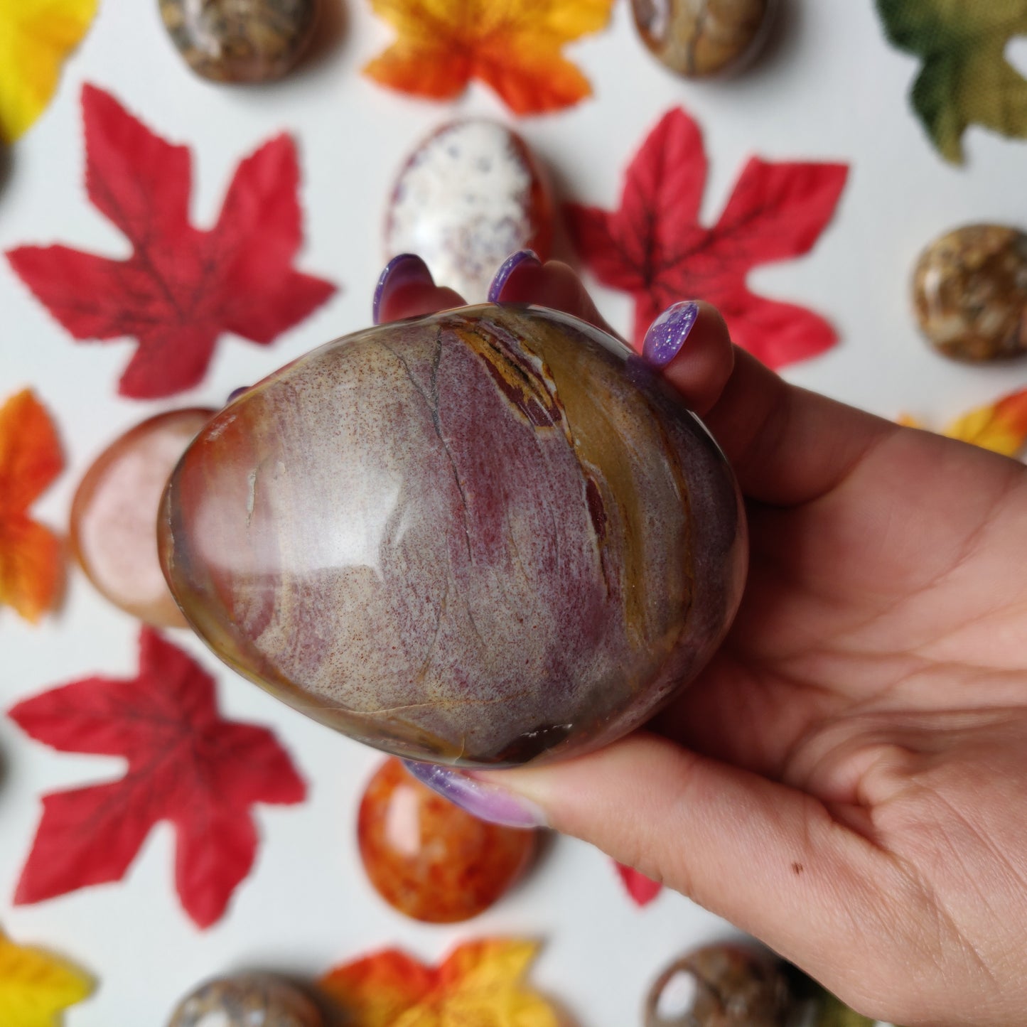 Petrified Wood Palm Stone (#A4)