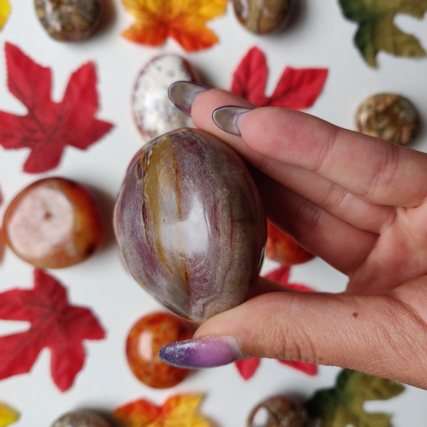 Petrified Wood Palm Stone (#A4)