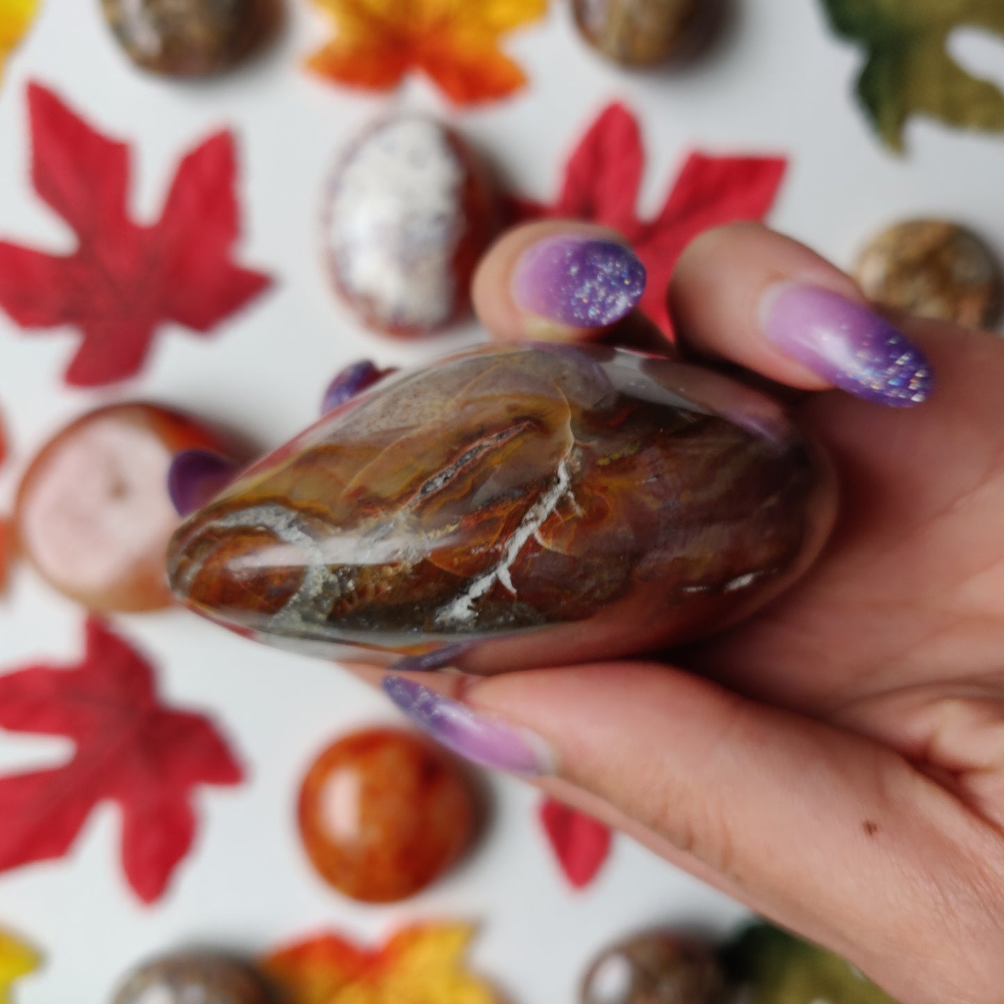 Petrified Wood Palm Stone (#A4)