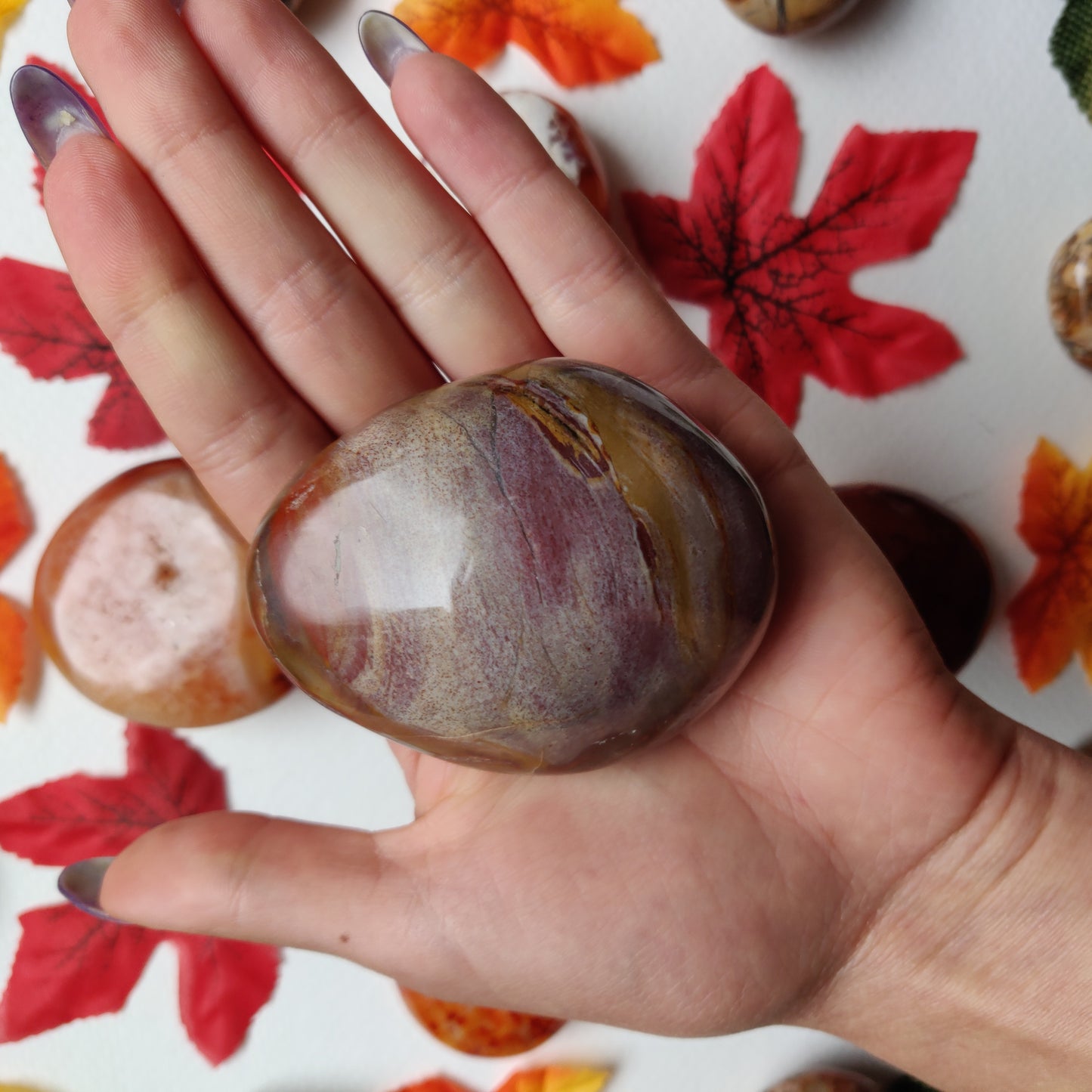 Petrified Wood Palm Stone (#A4)