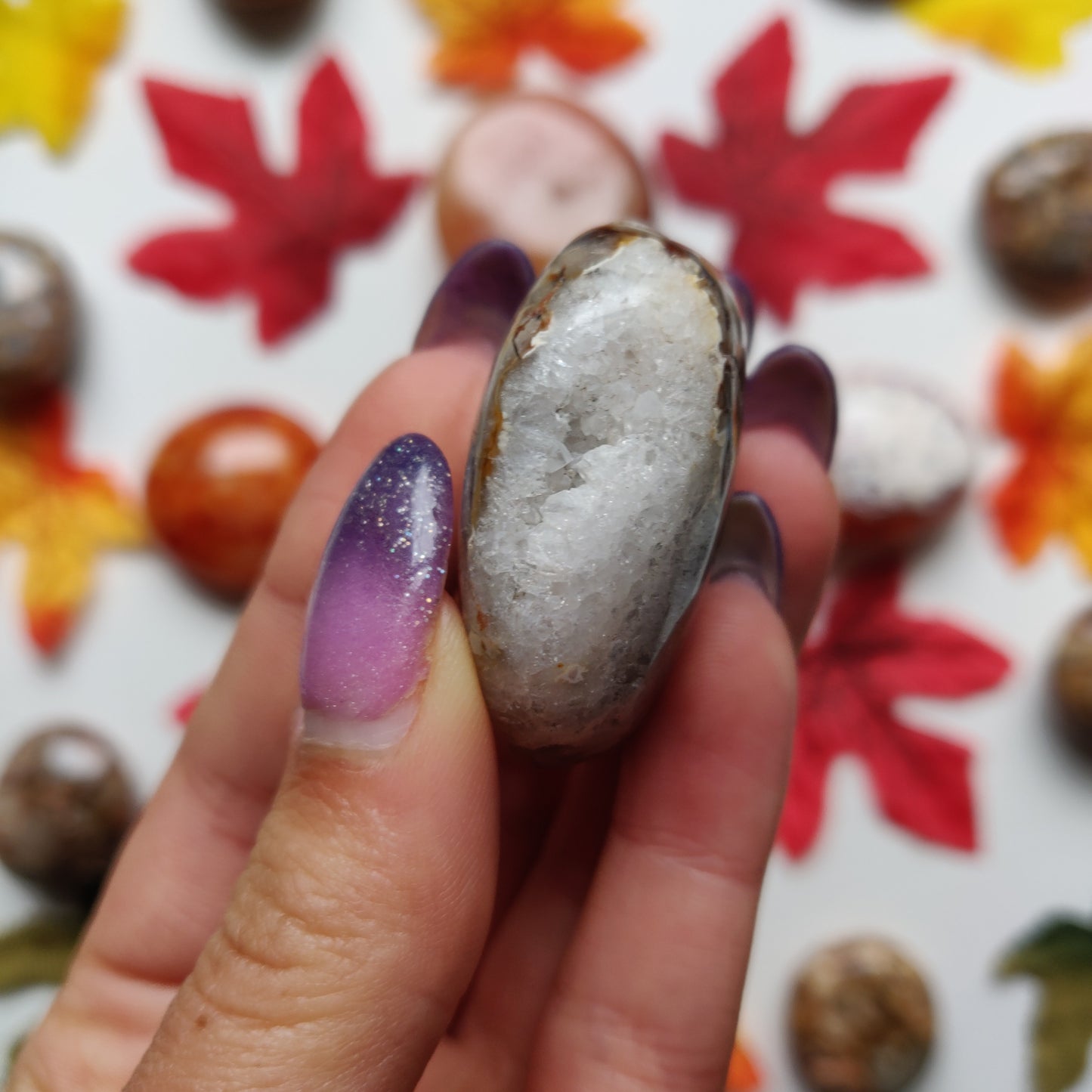 Ibis Jasper Palm Stone (#A7)