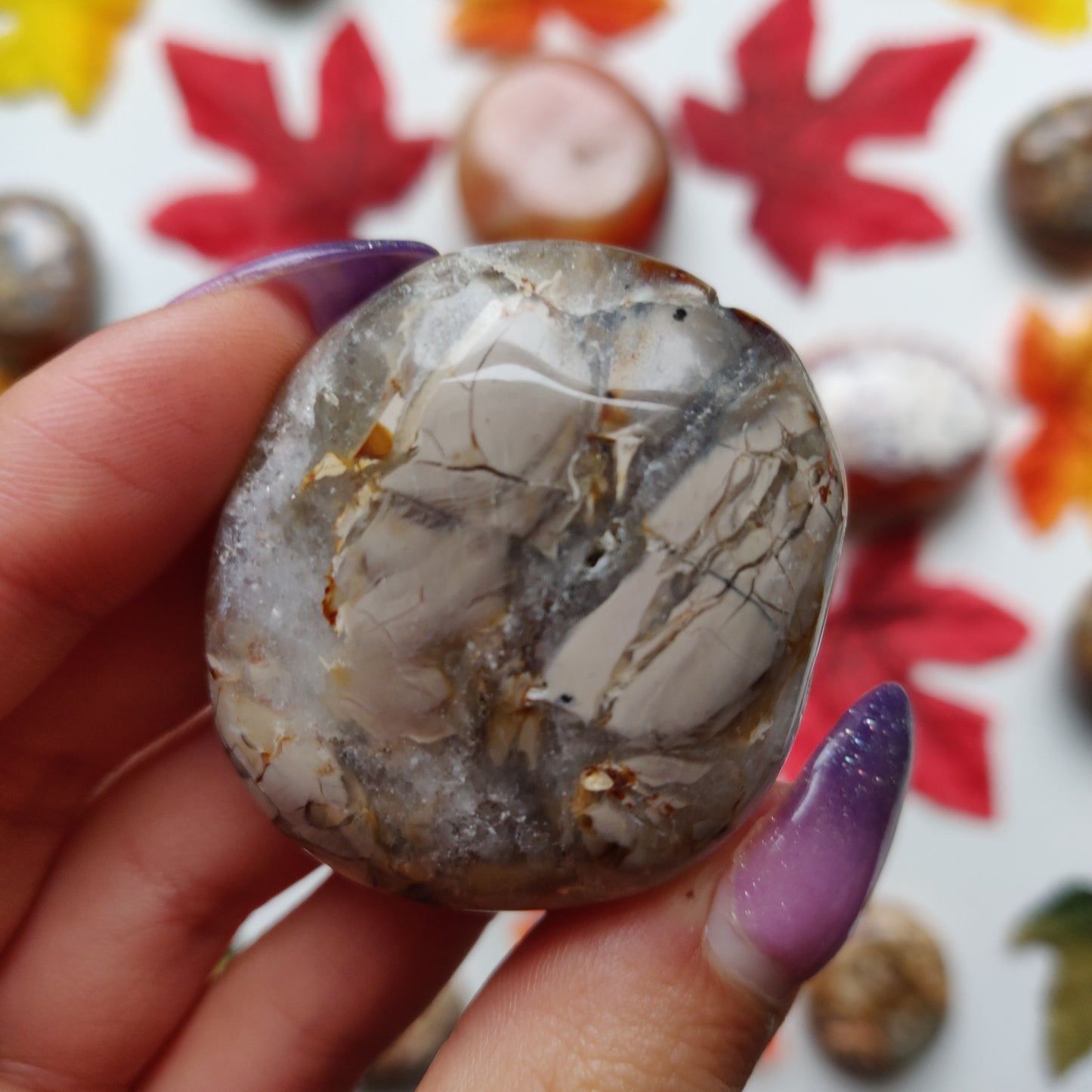 Ibis Jasper Palm Stone (#A7)