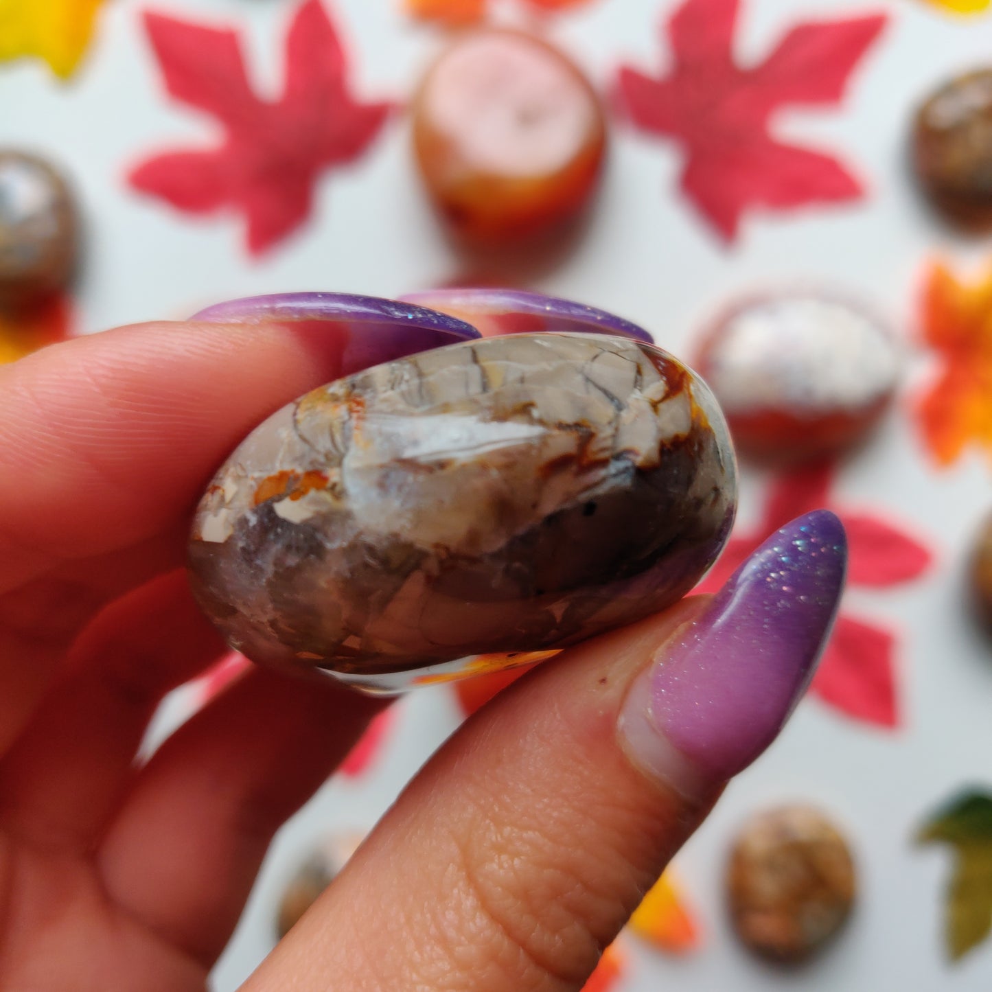 Ibis Jasper Palm Stone (#A7)
