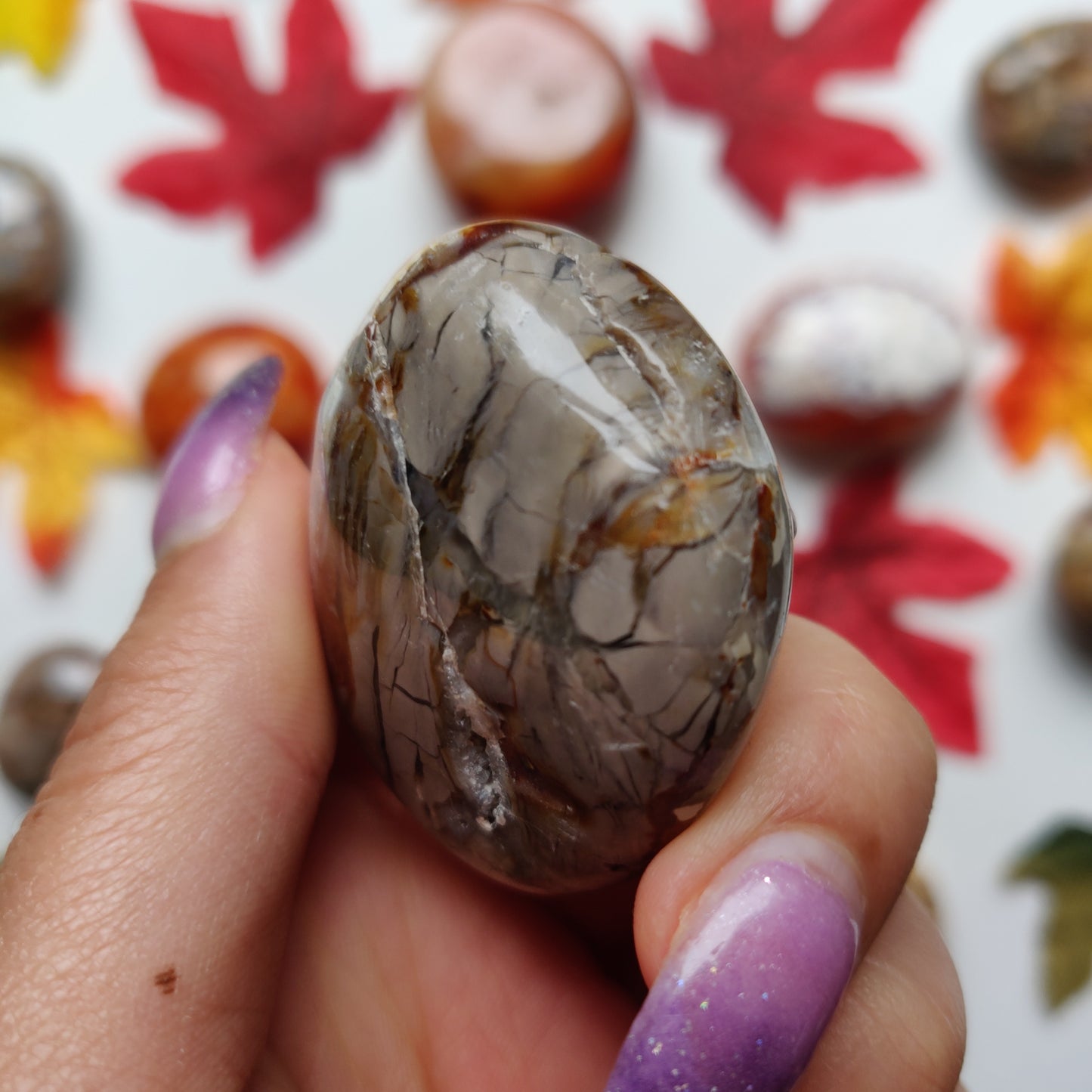 Ibis Jasper Palm Stone (#A7)