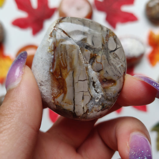 Ibis Jasper Palm Stone (#A7)