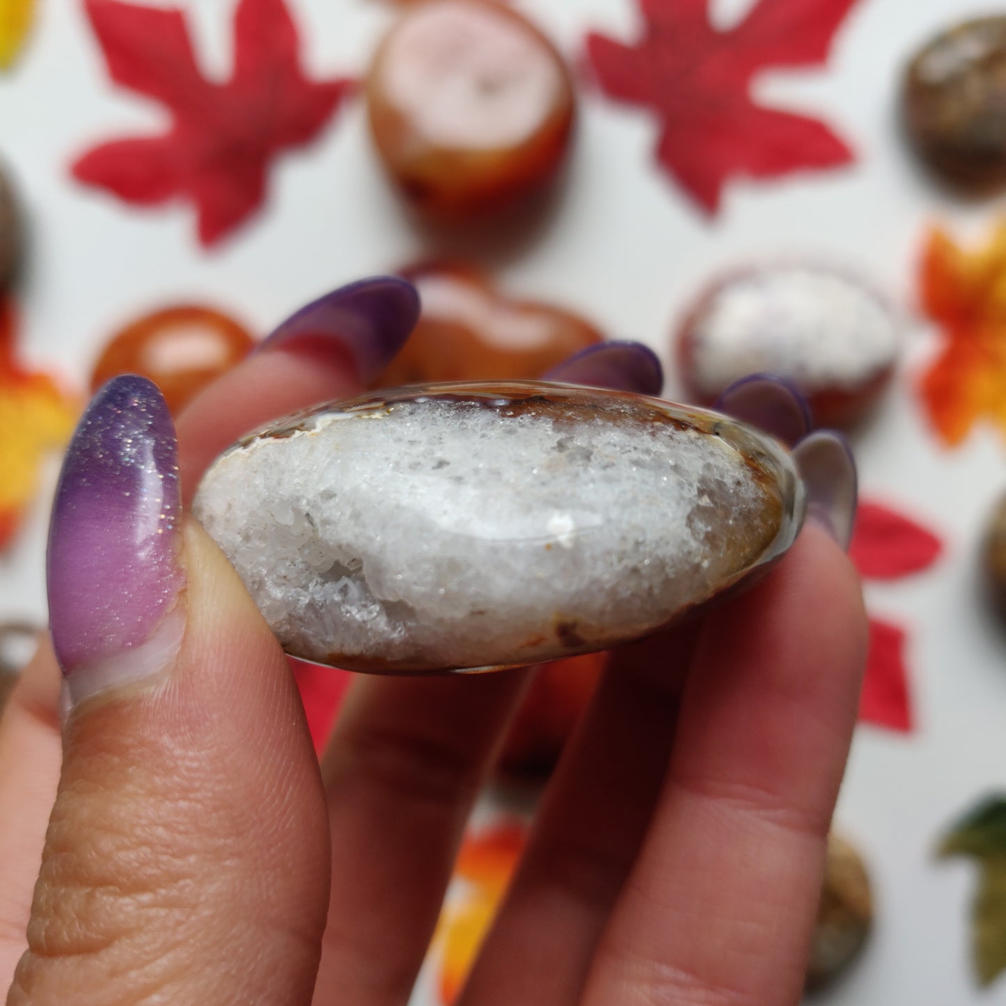 Ibis Jasper Palm Stone (#A7)