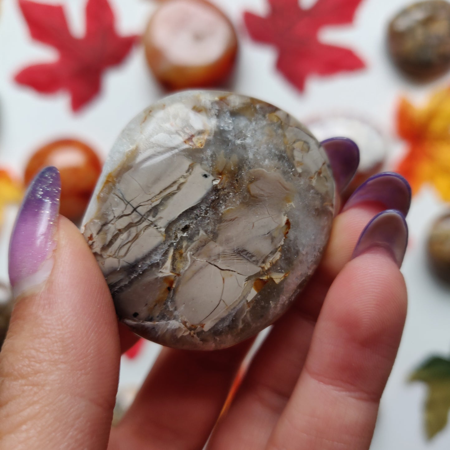 Ibis Jasper Palm Stone (#A7)