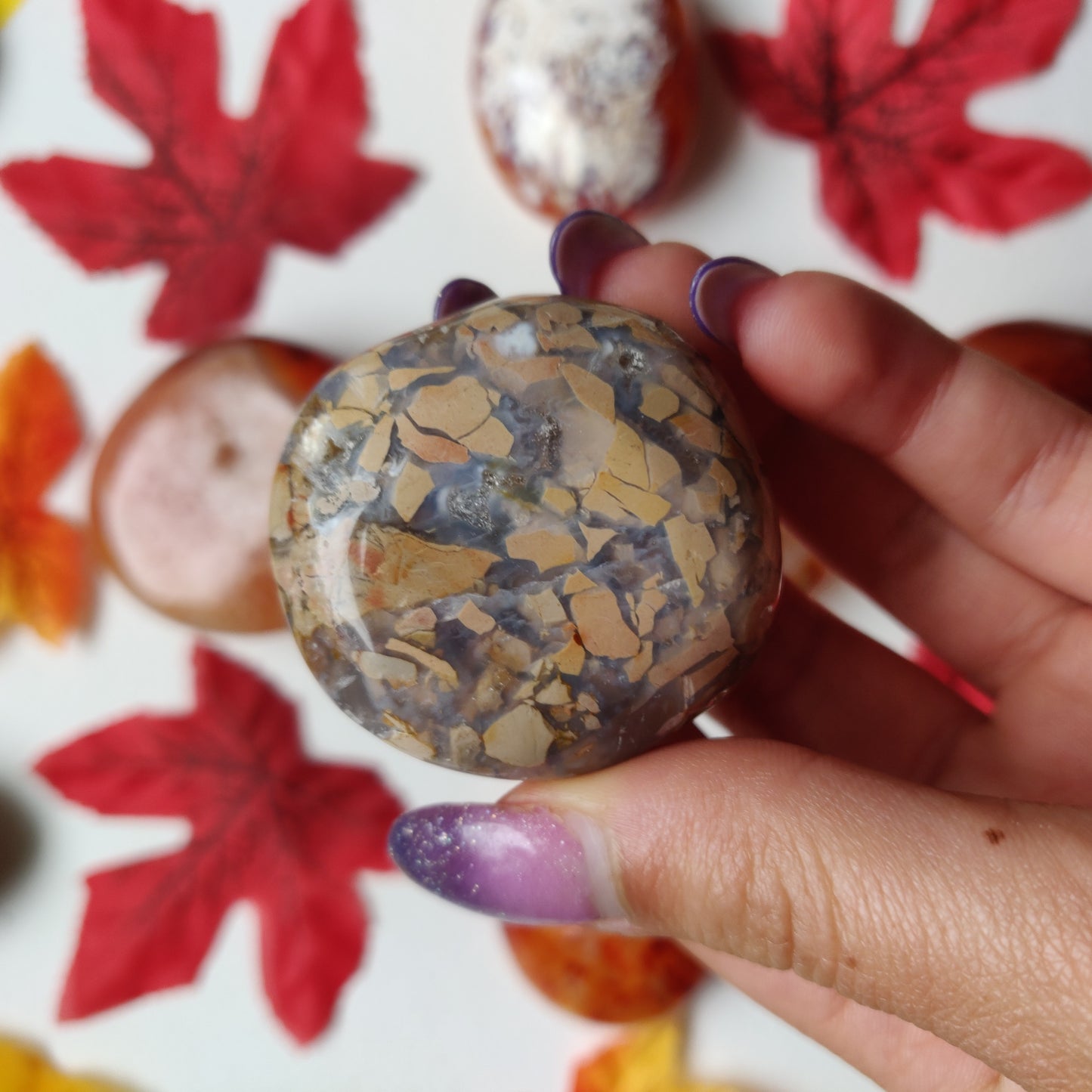 Ibis Jasper Palm Stone (#A6)