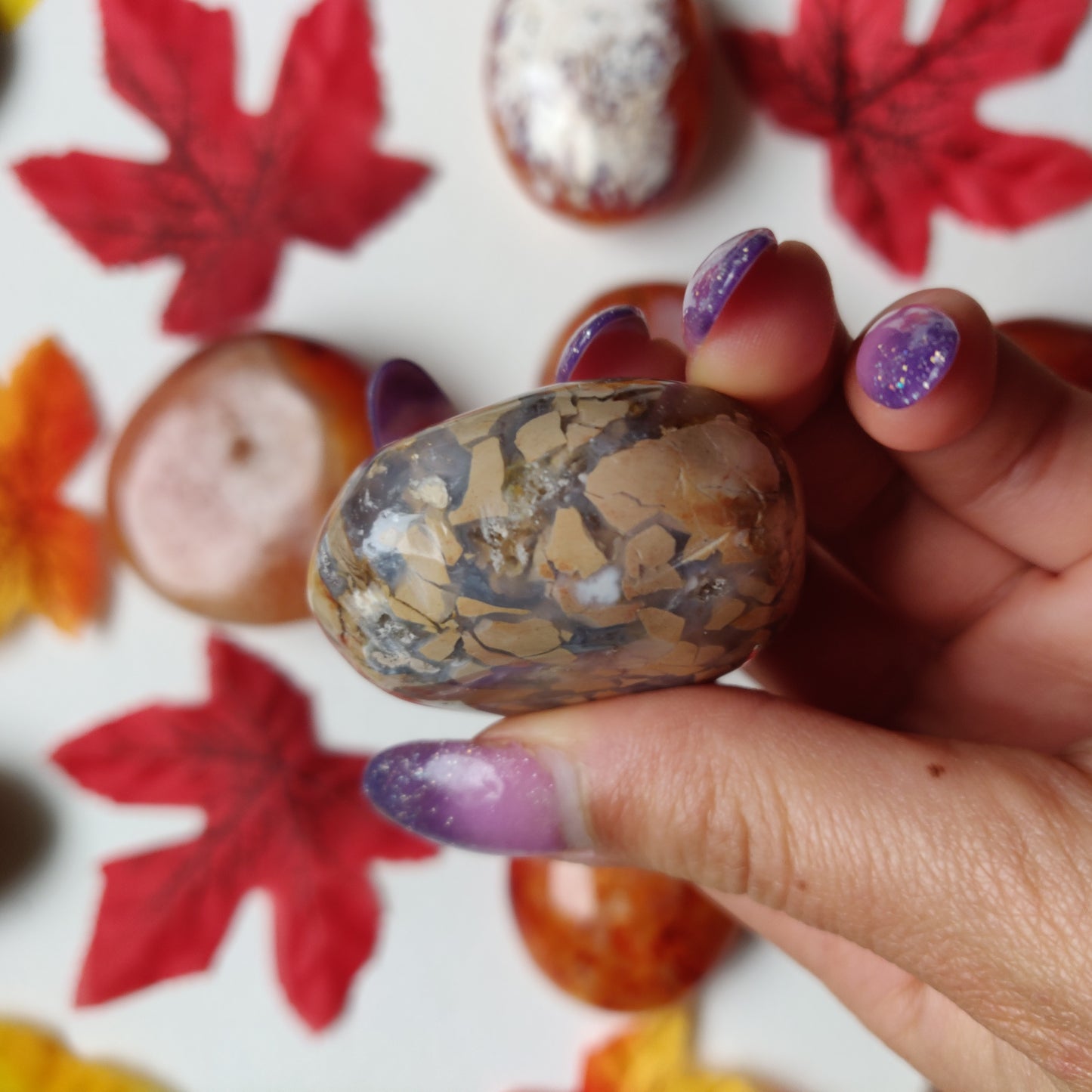 Ibis Jasper Palm Stone (#A6)