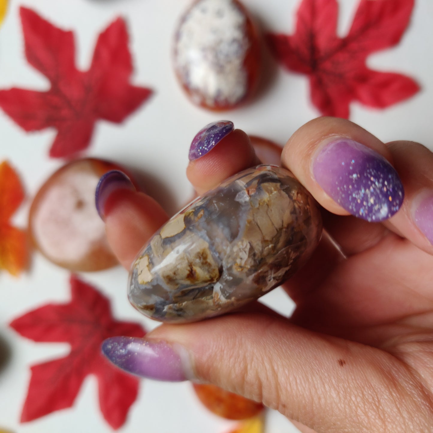 Ibis Jasper Palm Stone (#A6)