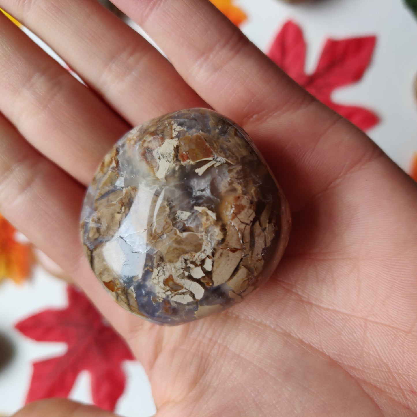 Ibis Jasper Palm Stone (#A6)