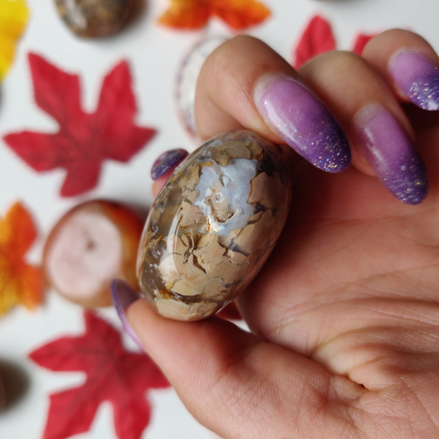 Ibis Jasper Palm Stone (#A6)