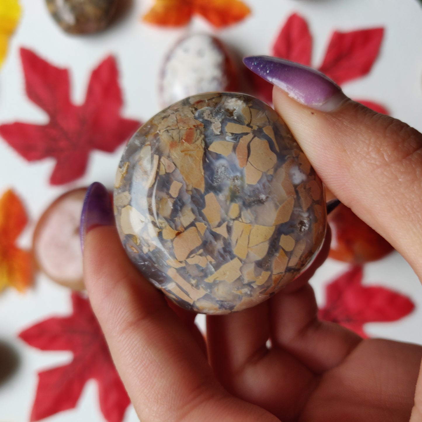 Ibis Jasper Palm Stone (#A6)