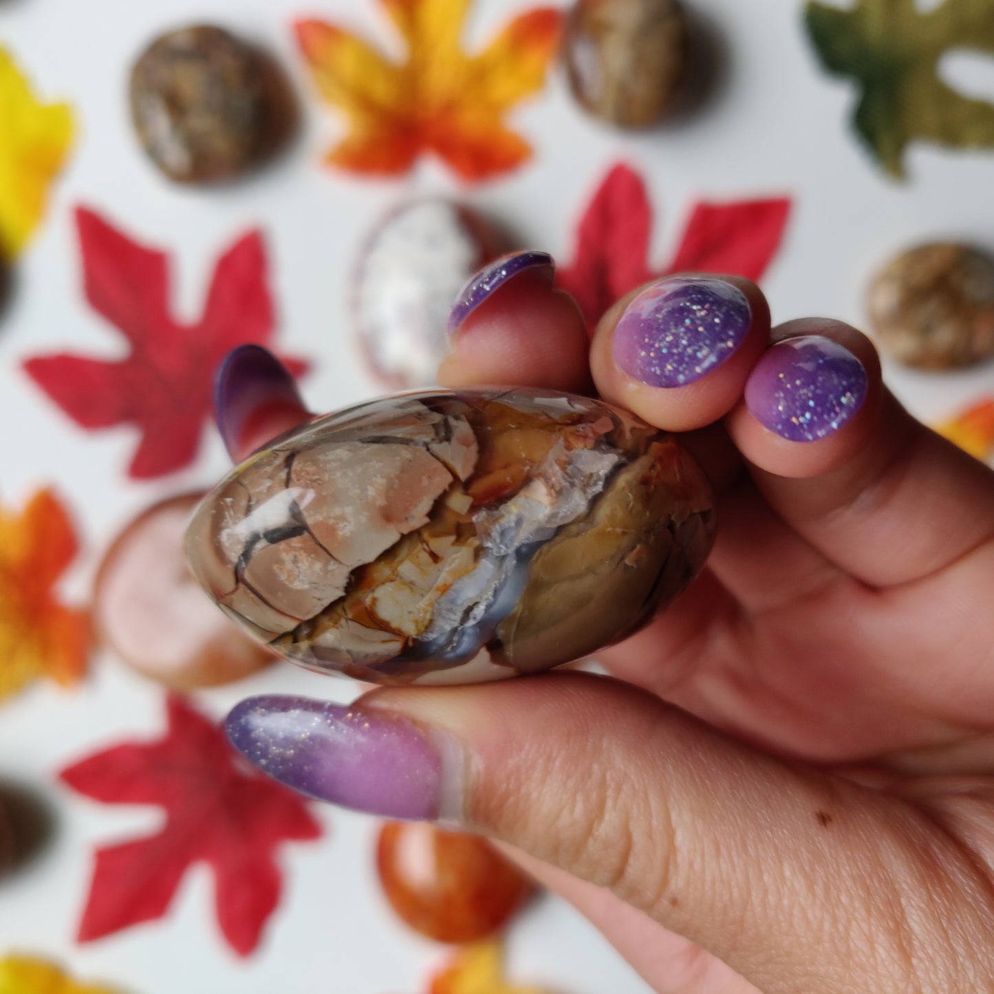 Ibis Jasper Palm Stone (#A5)