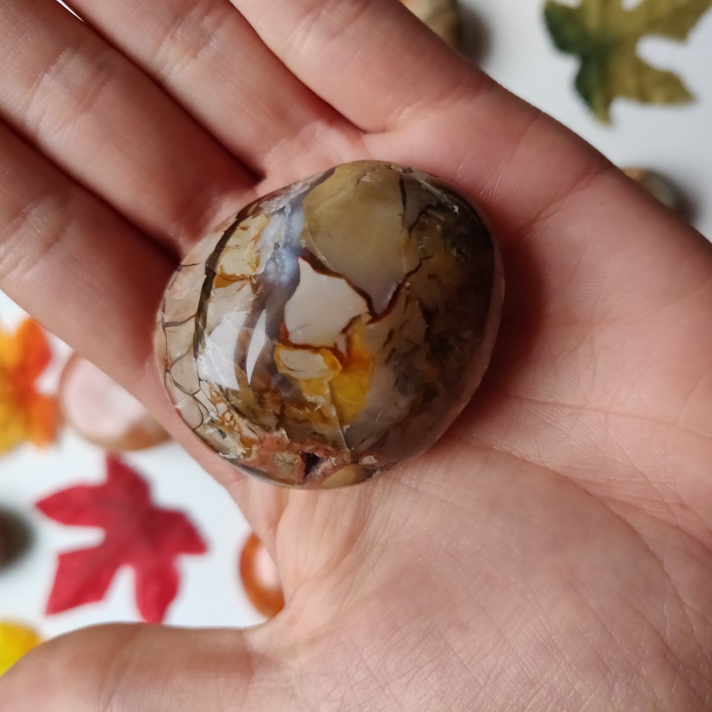 Ibis Jasper Palm Stone (#A5)
