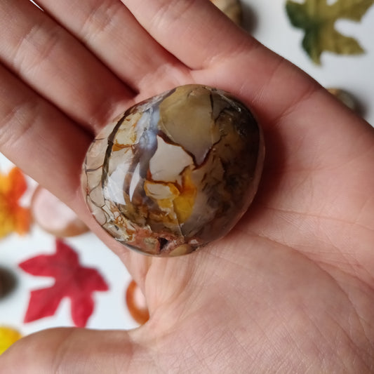 Ibis Jasper Palm Stone (#A5)