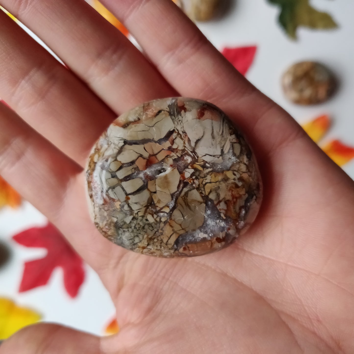 Ibis Jasper Palm Stone (#A4)
