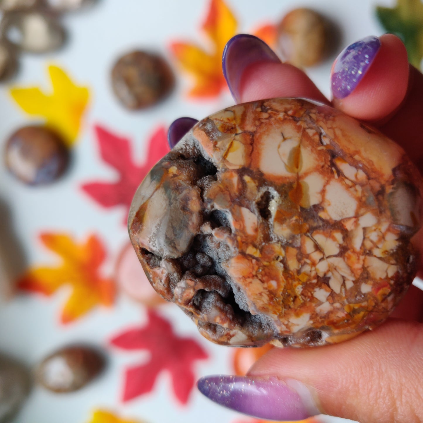 Ibis Jasper Palm Stone (#A3)