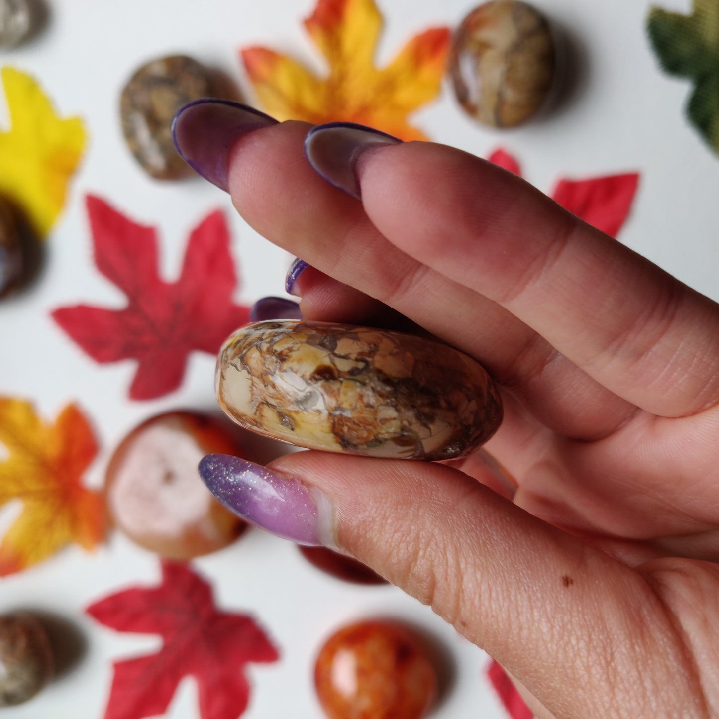 Ibis Jasper Palm Stone (#A3)