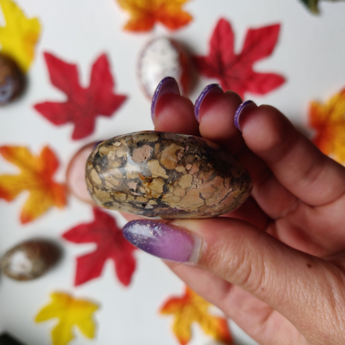 Ibis Jasper Palm Stone (#A1)