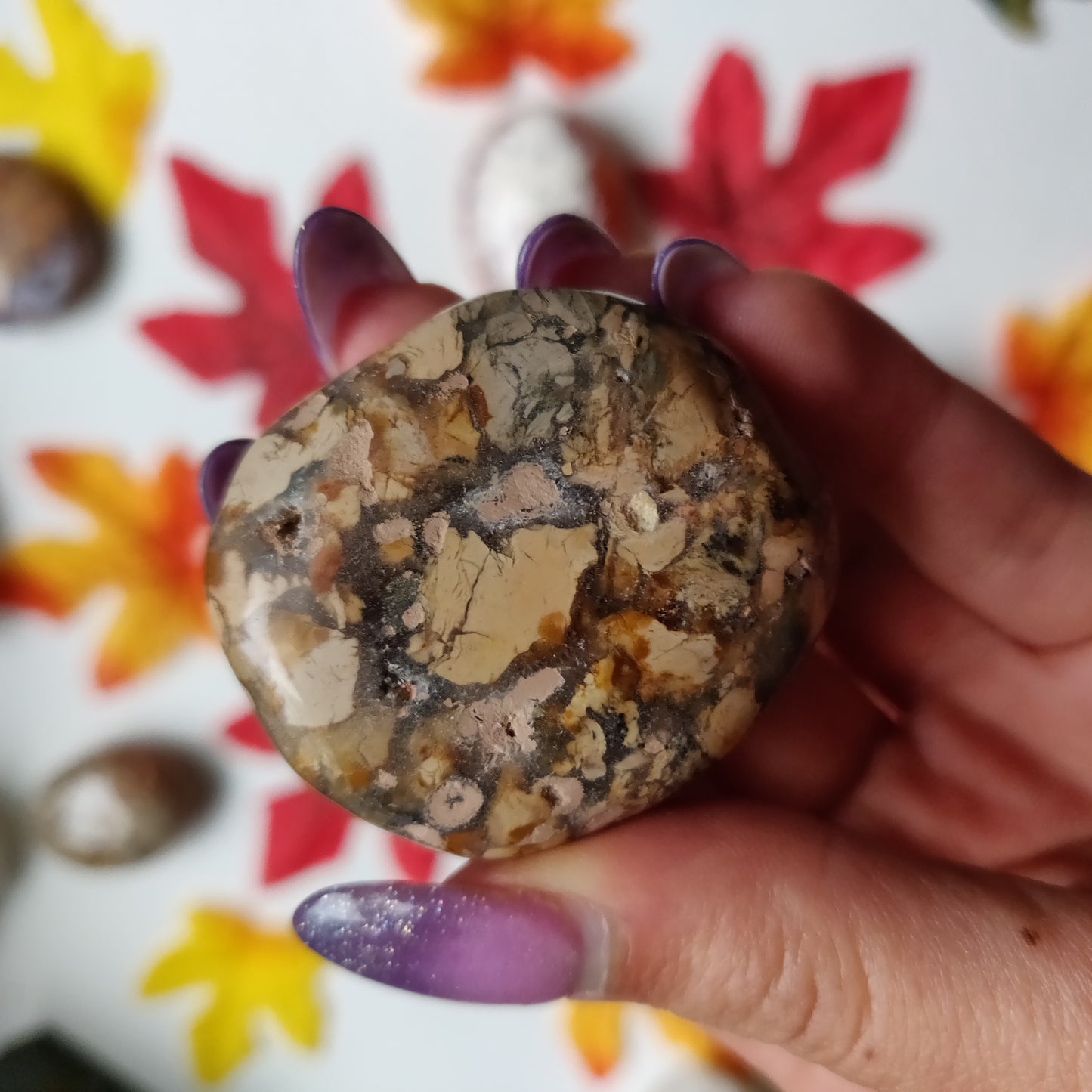 Ibis Jasper Palm Stone (#A1)