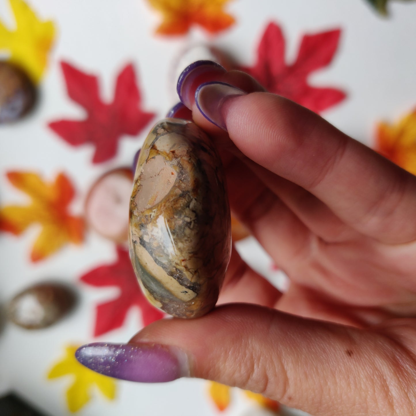 Ibis Jasper Palm Stone (#A1)