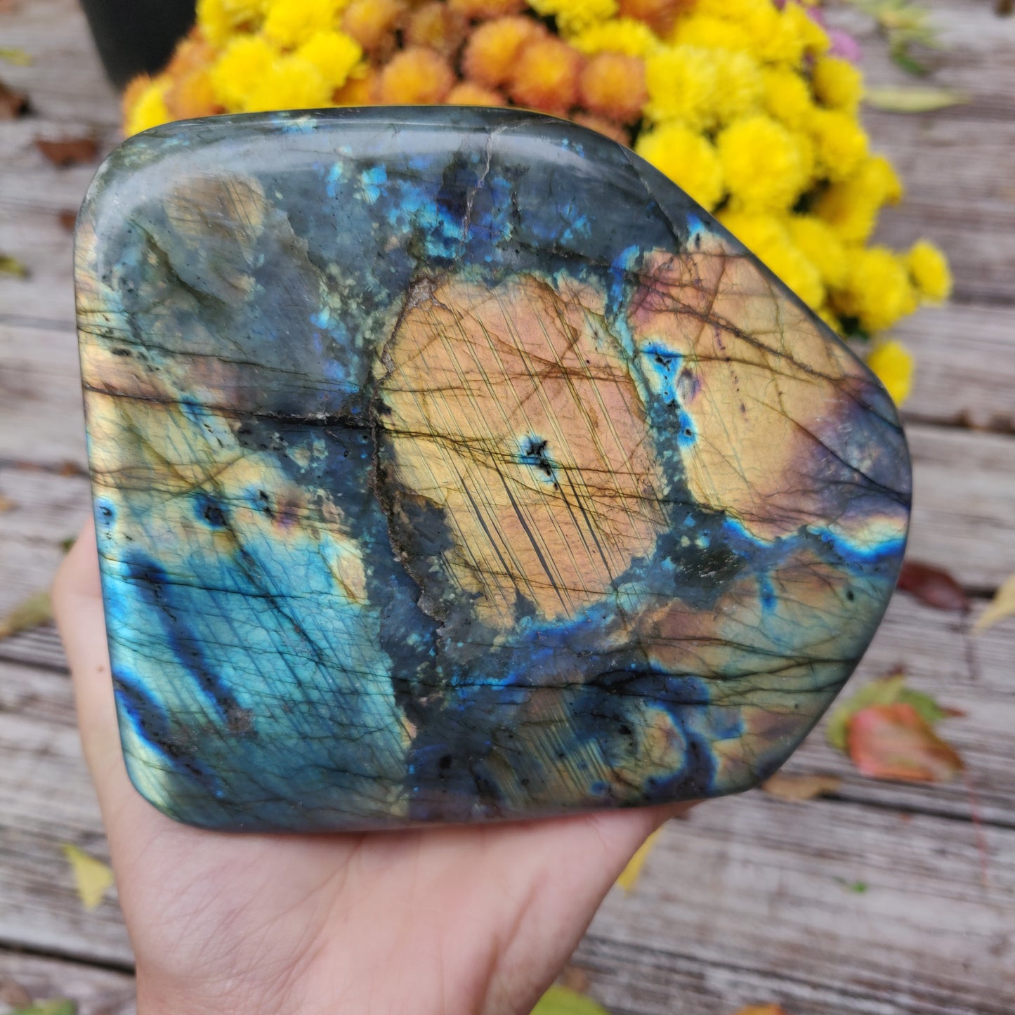 Large Labradorite Free Form over 3.75 LB! (#A7)