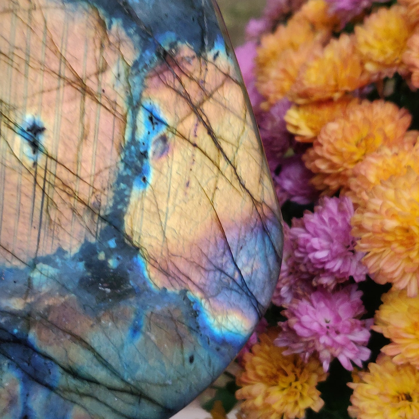 Large Labradorite Free Form over 3.75 LB! (#A7)
