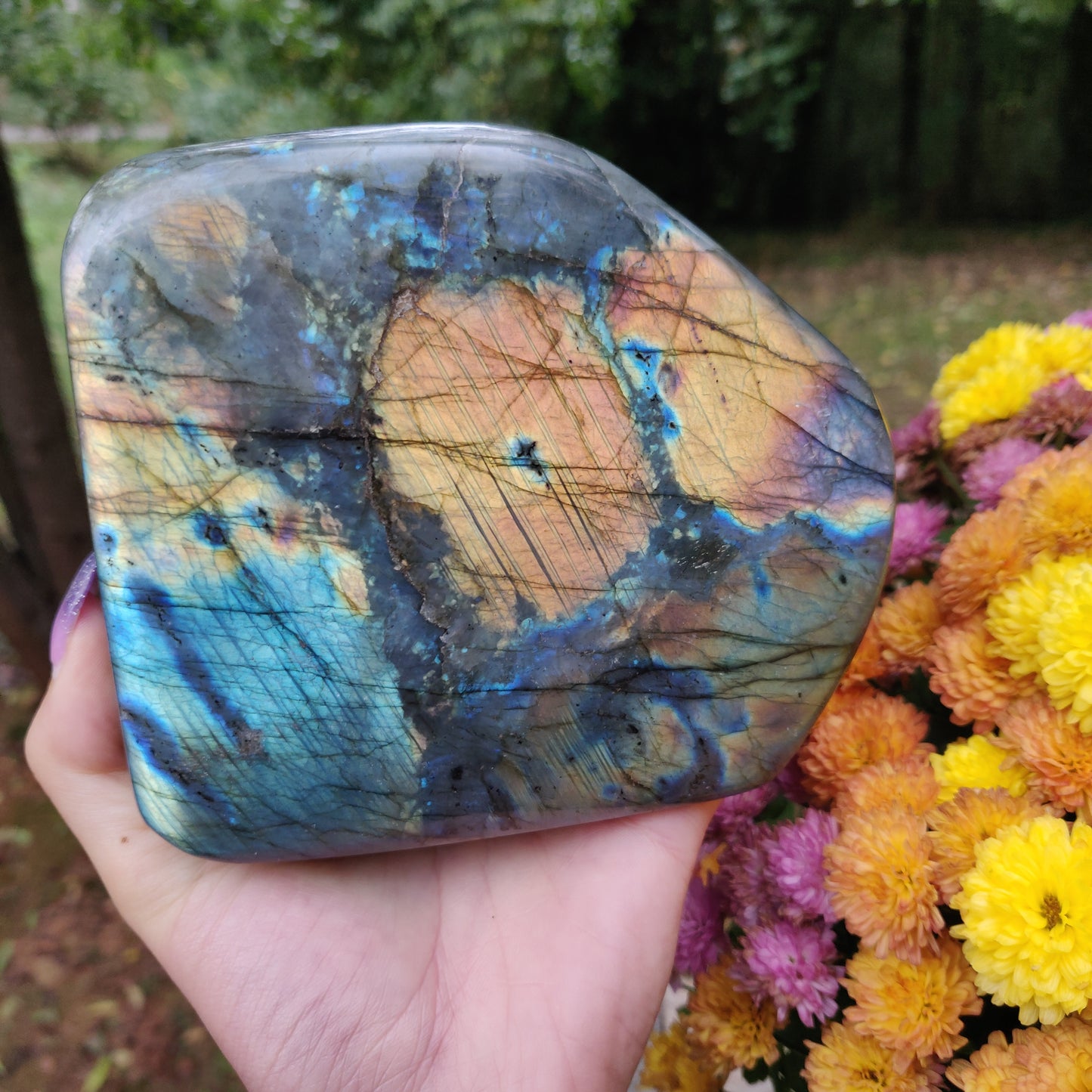 Large Labradorite Free Form over 3.75 LB! (#A7)