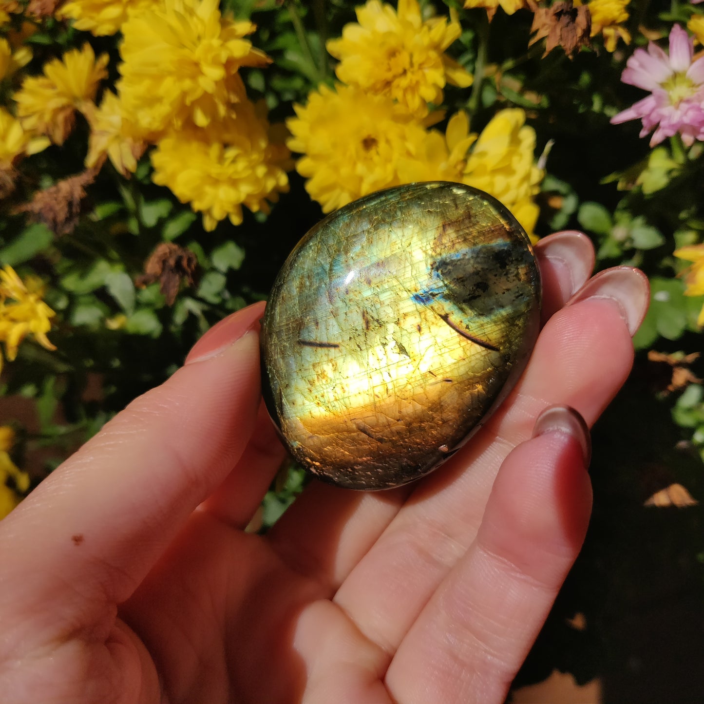 Labradorite Palm Stone (#A23)