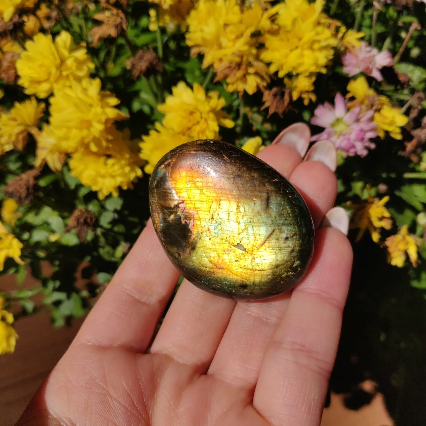Labradorite Palm Stone (#A23)