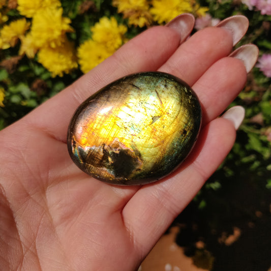 Labradorite Palm Stone (#A23)